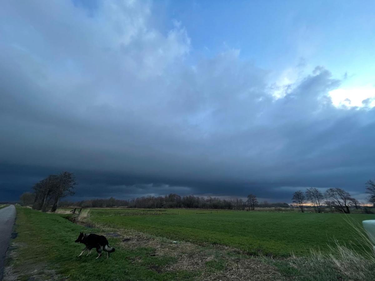 Zomerdijk-Inn Zuid Wanneperveen Exteriör bild