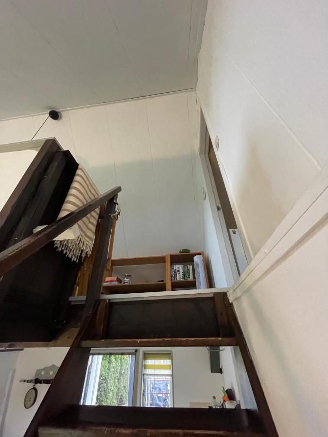 Zomerdijk-Inn Zuid Wanneperveen Exteriör bild