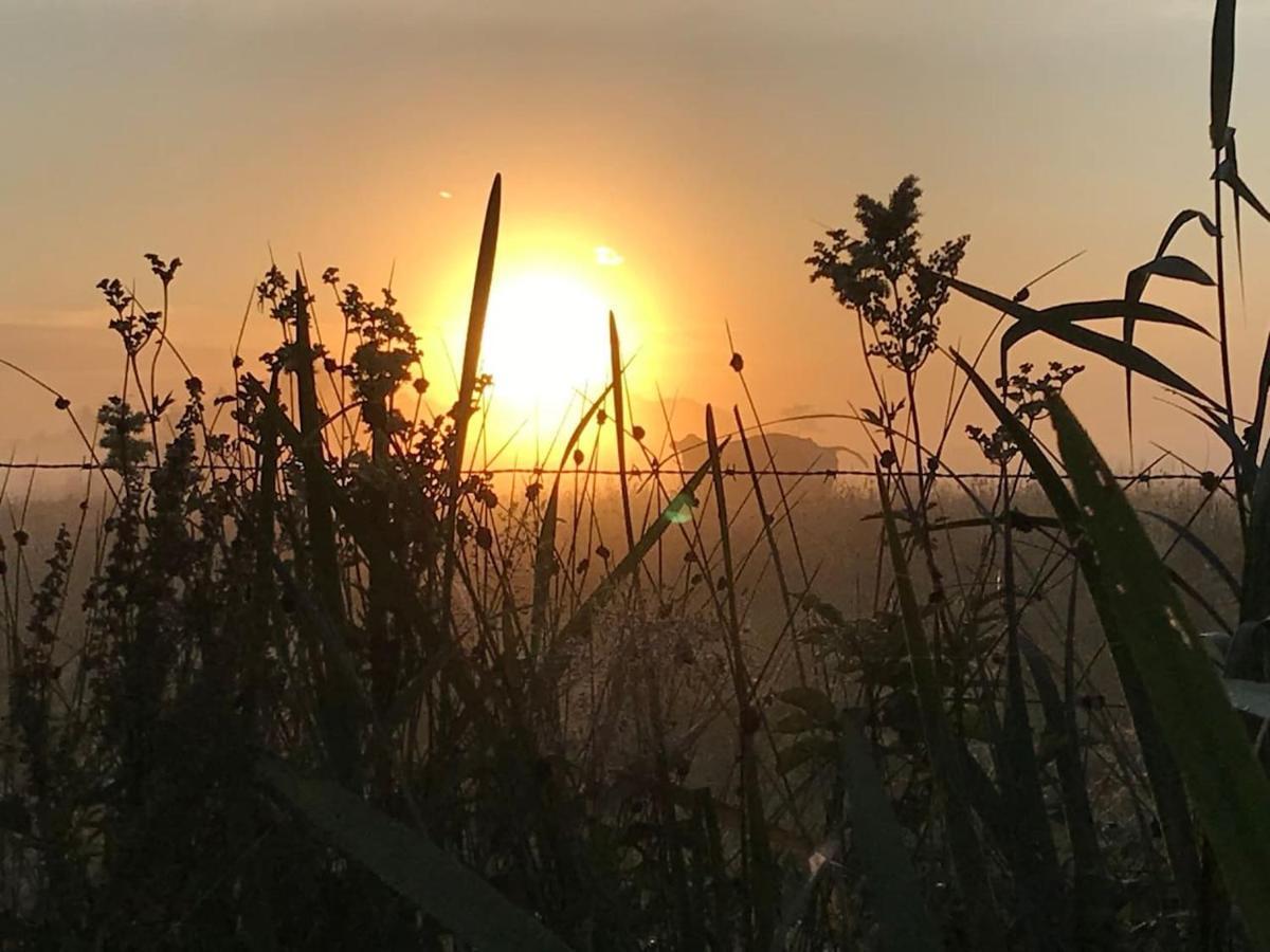 Zomerdijk-Inn Zuid Wanneperveen Exteriör bild
