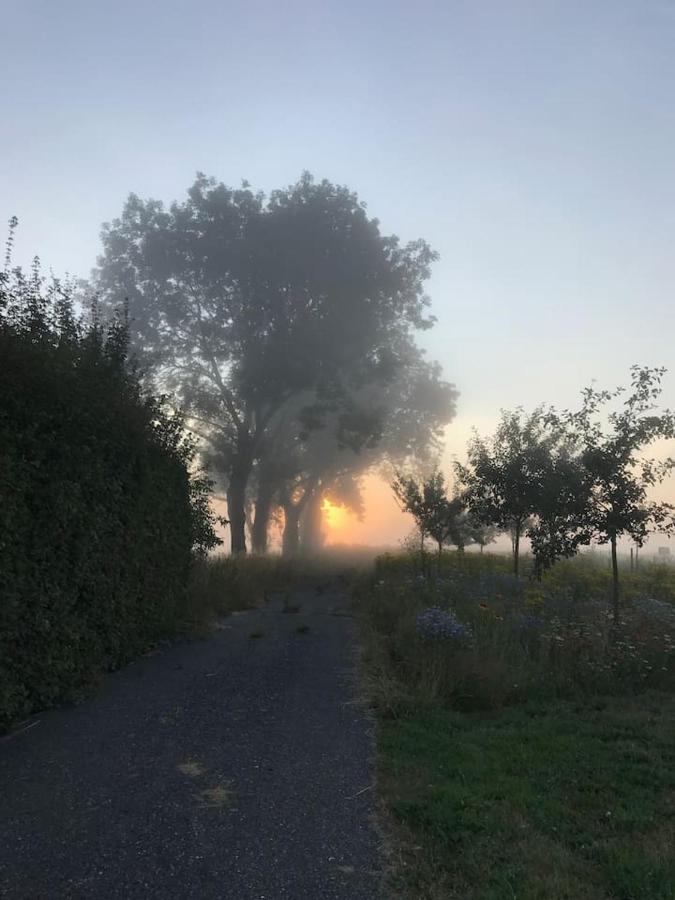 Zomerdijk-Inn Zuid Wanneperveen Exteriör bild